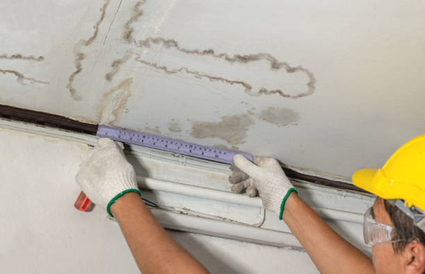 Reliable Water Damage Repair contractor in Pierce, CO by Aqua Guard Water Damage